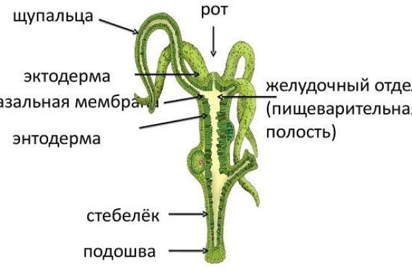 Кракен ком