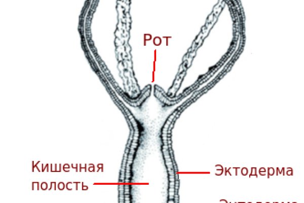 Kraken обход блокировок