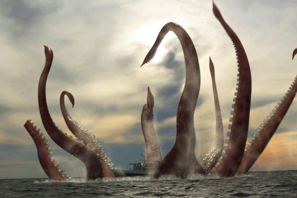 Kraken это современный маркетплейс